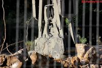 Imagine atasata: IMG_0028.JPG